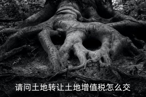 土地增值稅如何繳納，請問土地轉讓土地增值稅怎么交