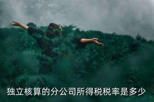 獨(dú)立核算的分公司如何納稅，誰知道獨(dú)立核算的同城分公司如何繳稅
