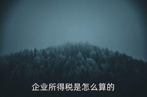 公司所得稅如何計算，企業(yè)所得稅該怎么計算
