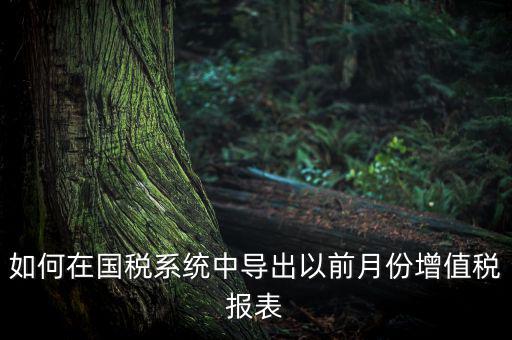 如何導(dǎo)出增值稅申報(bào)表，如何在國稅系統(tǒng)中導(dǎo)出以前月份增值稅報(bào)表