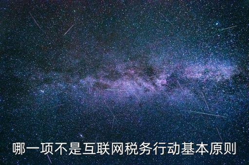 地稅工作如何適應互聯(lián)網(wǎng)，哪一項不是互聯(lián)網(wǎng)稅務行動基本原則