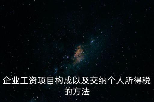 企業(yè)工資項目構(gòu)成以及交納個人所得稅的方法