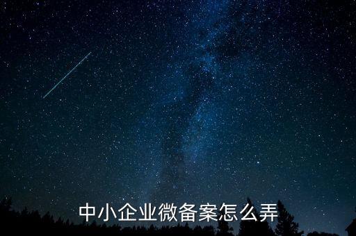 小型微型企業(yè)如何備案，小型微型企業(yè)登記備案