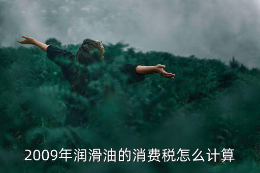 汽油消費稅如何計算公式，2009年潤滑油的消費稅怎么計算