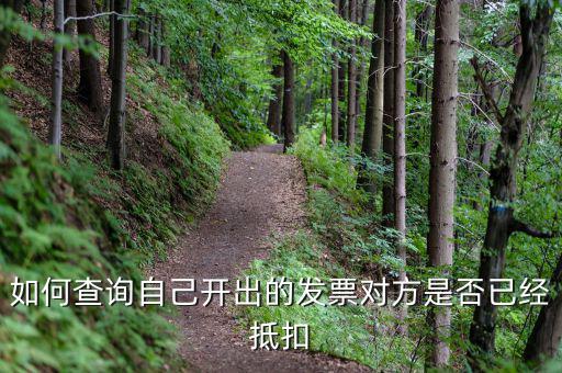 如何查詢已抵扣發(fā)票，怎么查詢開(kāi)出的發(fā)票有沒(méi)有被抵扣