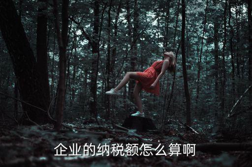 企業(yè)納稅如何計算，企業(yè)的納稅額怎么算啊