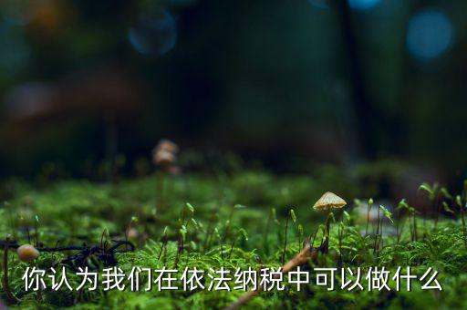 如何做到依法納稅，你認(rèn)為我們?cè)谝婪{稅中可以做什么