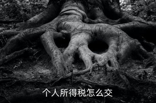 個人所得稅如何繳納，個人所得稅怎么繳納