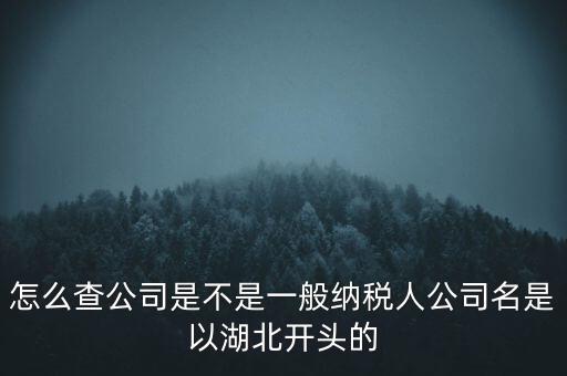 如何查詢企業(yè)是否是一般納稅人，怎么查公司是不是一般納稅人公司名是以湖北開(kāi)頭的