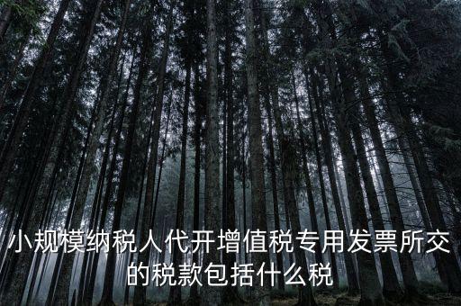 小規(guī)模納稅人代開(kāi)增值稅專(zhuān)用發(fā)票所交的稅款包括什么稅