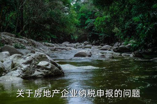 關(guān)于房地產(chǎn)企業(yè)納稅申報的問題