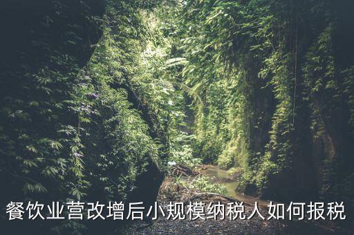 營改增后小規(guī)模納稅人如何報(bào)稅，營改增后小規(guī)模的怎么報(bào)稅