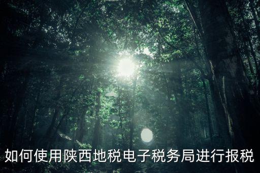 如何使用陜西地稅電子稅務(wù)局進(jìn)行報稅