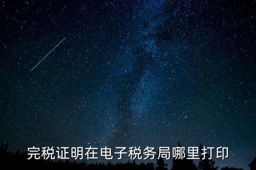 地稅的申報(bào)信息如何查詢打印，完稅證明在電子稅務(wù)局哪里打印
