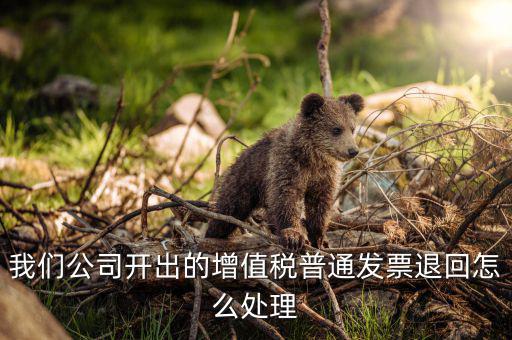 發(fā)票退回如何處理，我們公司開出的增值稅普通發(fā)票退回怎么處理