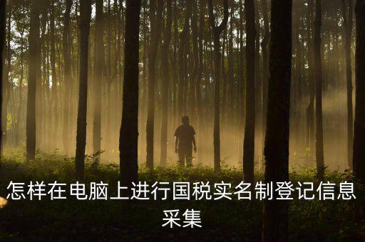 怎樣在電腦上進(jìn)行國(guó)稅實(shí)名制登記信息采集