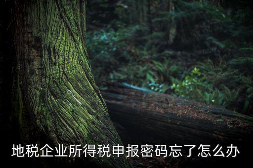 南京地稅密碼如何重置，個(gè)人所得稅忘記密碼之后如何進(jìn)行重置呢