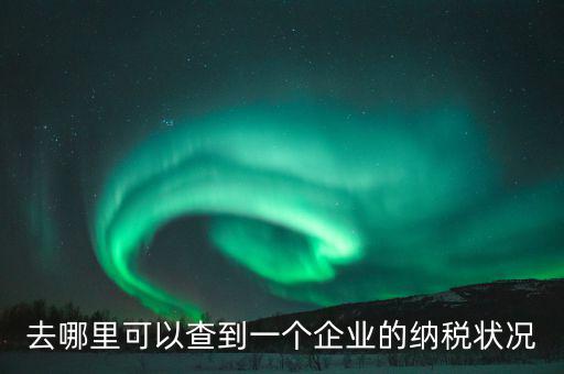 企業(yè)在哪納稅如何查，去哪里可以查到一個(gè)企業(yè)的納稅狀況