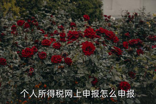 福建個人納稅如何申報，個人所得稅網(wǎng)上申報怎么申報