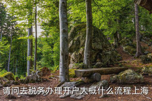 如何辦理稅務開戶，請問去稅務辦理開戶大概什么流程上海