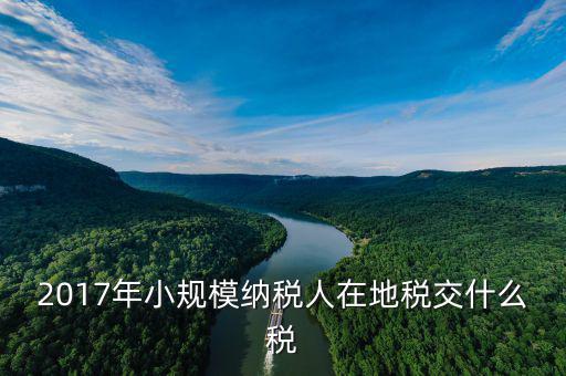 2017年土地稅如何征收，2017年小規(guī)模納稅人在地稅交什么稅