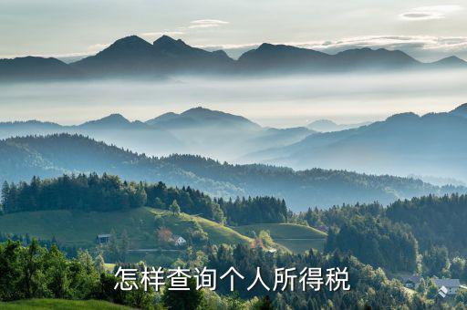 如何查詢個人交稅，個人所得稅繳納記錄怎么查詢