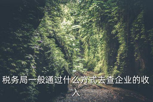 稅務(wù)如何統(tǒng)計收入，小規(guī)模增值稅季報在哪里統(tǒng)計收入