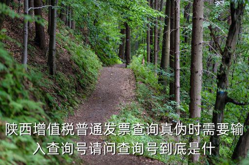 陜西省普通發(fā)票如何查詢系統(tǒng)，陜西國稅發(fā)票查詢號是做什么的