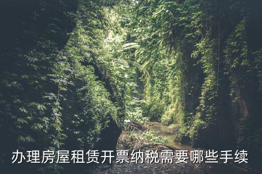 租房如何開增值稅專票，房屋租賃可以開增值稅專用發(fā)票嗎