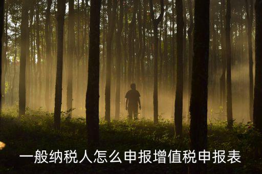 增值一般納稅人國稅如何申報，一般納稅人怎么申報增值稅申報表