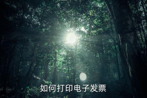 如何打印電子稅務(wù)局的電子發(fā)票，電子發(fā)票怎樣打印