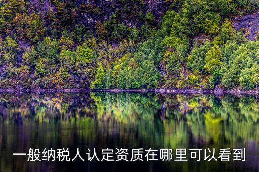 如何查看稅務(wù)資質(zhì)，一般納稅人認(rèn)定資質(zhì)在哪里可以看到