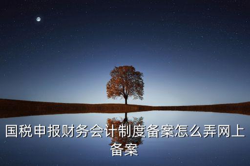 電子稅務(wù)局如何會(huì)計(jì)制度備案，2017年電子稅務(wù)局財(cái)務(wù)報(bào)表備案是不是可以馬上填寫