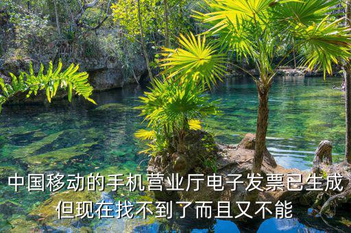中國移動的手機(jī)營業(yè)廳電子發(fā)票已生成但現(xiàn)在找不到了而且又不能