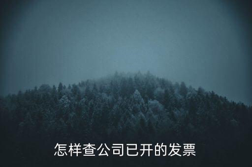 如何查企業(yè)的開票資料，如何查詢其他企業(yè)開具給本企業(yè)的發(fā)票