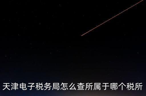 天津電子稅務局怎么查所屬于哪個稅所