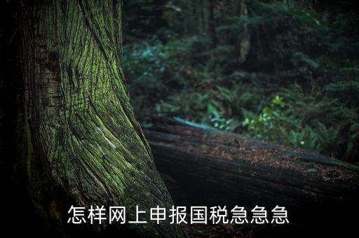 怎樣網(wǎng)上申報(bào)國稅急急急