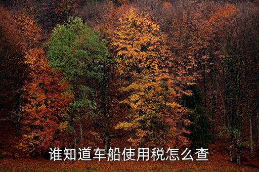 如何查詢自己交車船稅，車船稅交沒交能在網(wǎng)上查詢嗎