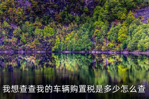 如何看購(gòu)置稅發(fā)票，我想查查我的車(chē)輛購(gòu)置稅是多少怎么查