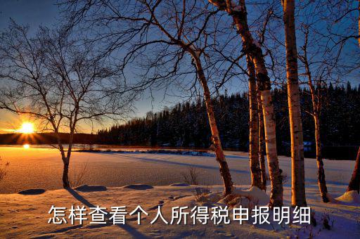 如何查詢個(gè)人所得稅明細(xì)申報(bào)，怎樣查看個(gè)人所得稅申報(bào)明細(xì)