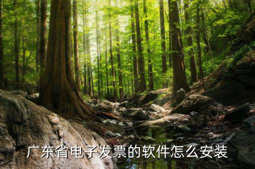 廣東省電子發(fā)票的軟件怎么安裝