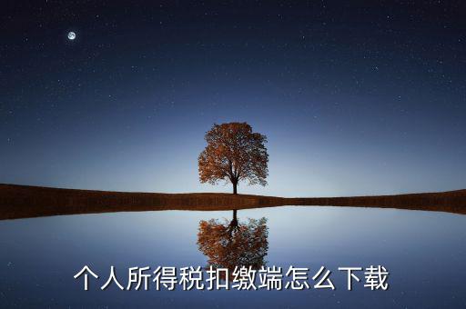 如何下載自然人扣繳客戶端，重慶市自然人電子稅務(wù)局扣繳端怎么下載