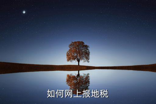 北京市地稅如何網(wǎng)上報(bào)稅，北京地稅網(wǎng)上報(bào)稅 怎么才算申報(bào)成功可以去銀行繳款了
