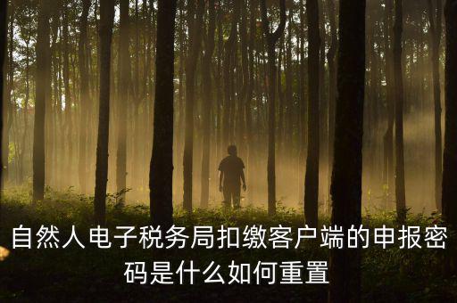 自然人納稅申報密碼如何找回，電子稅務(wù)局密碼忘記了怎么找回