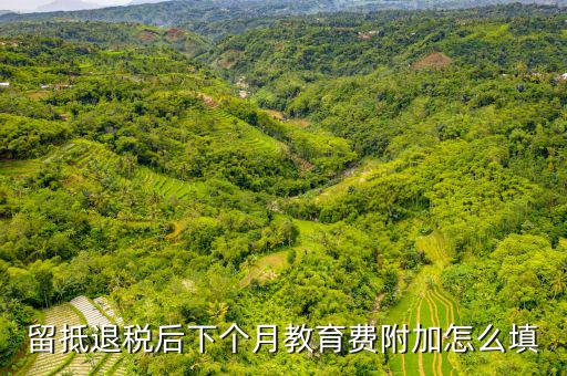 留抵退稅后下個月教育費(fèi)附加怎么填