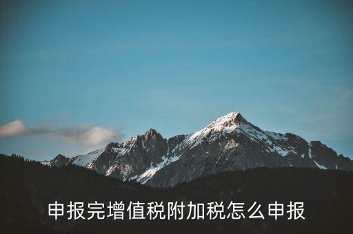 附加稅在國家稅務(wù)局網(wǎng)如何申報(bào)表，網(wǎng)上申報(bào)城建稅教育附加稅怎么填