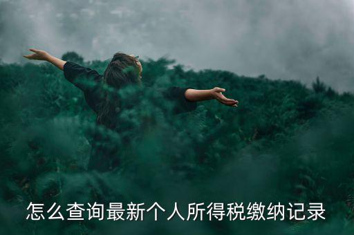 怎么查詢最新個(gè)人所得稅繳納記錄