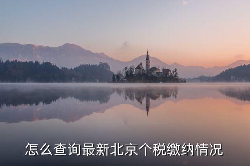 北京市 欠稅人員如何查詢(xún)，稅務(wù)欠稅信息如何查詢(xún)