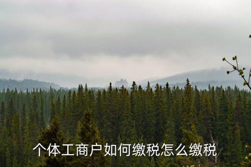 福建企業(yè)如何繳稅，企業(yè)所得稅是多少
