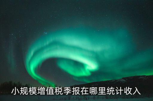 小規(guī)模增值稅季報在哪里統(tǒng)計(jì)收入